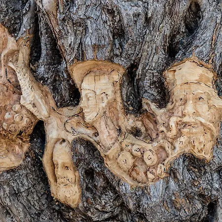 아파트 Pierre & Ros Ibiza 산타 에우랄리아 데 리오